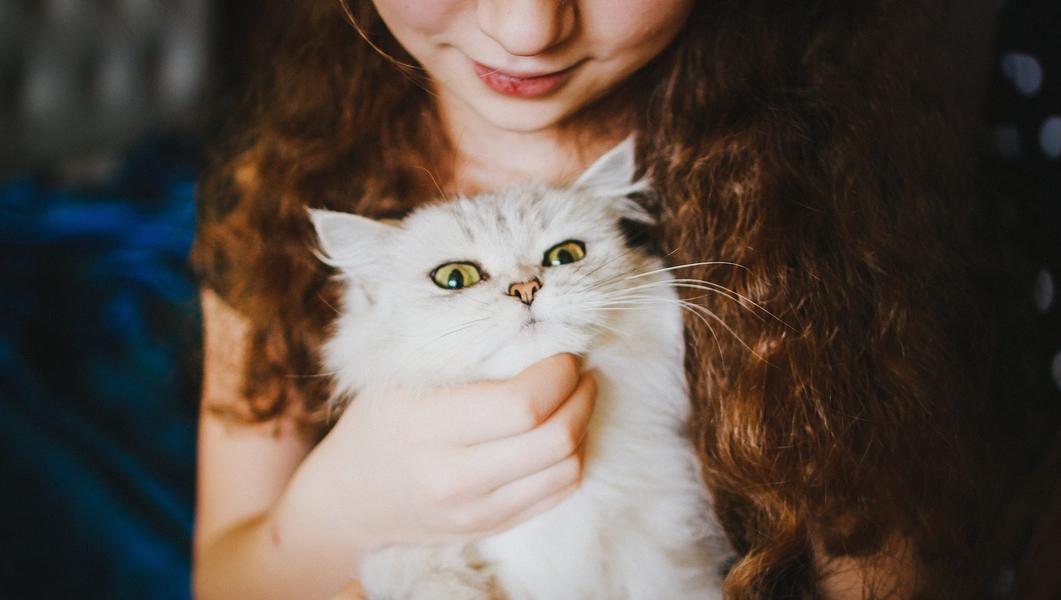 ÁLLATI SZŐRŐK OKOZTA BŐRALLERGIÁK