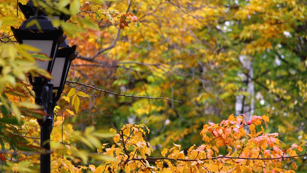 Budapest 5 legszebb őszi parkja
