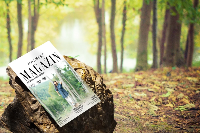 Magister Magazin